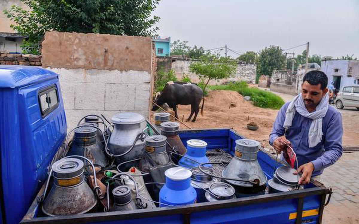 The dairy industry helps farmers by creating employment