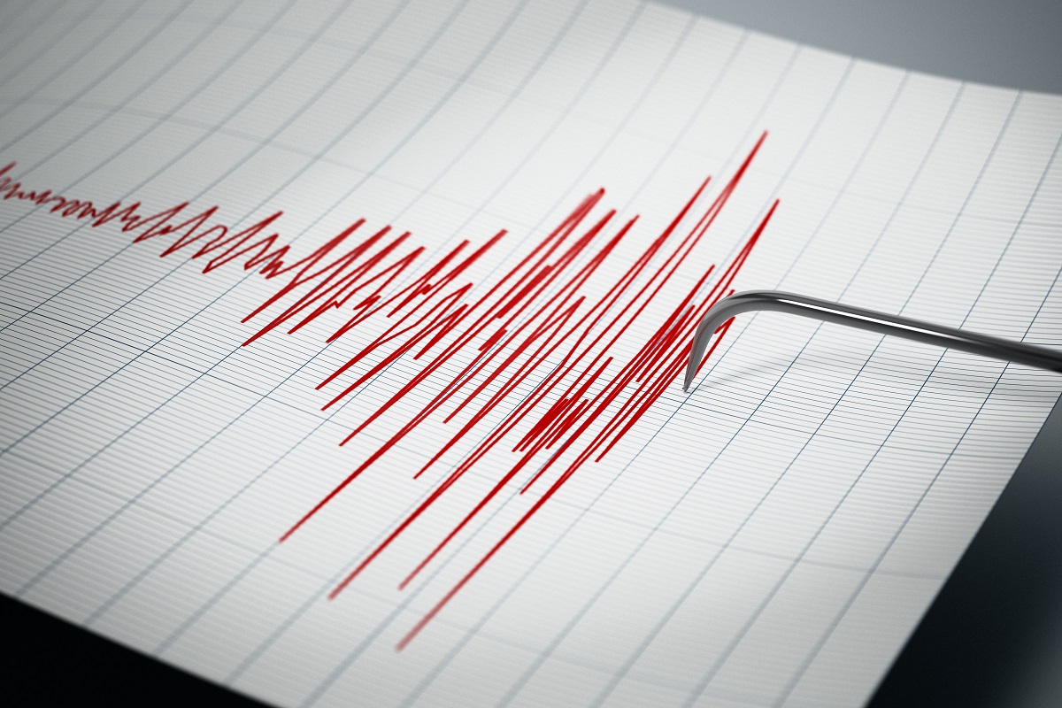 MODERATE QUAKE IN MIZORAM, NO DAMAGE REPORTED