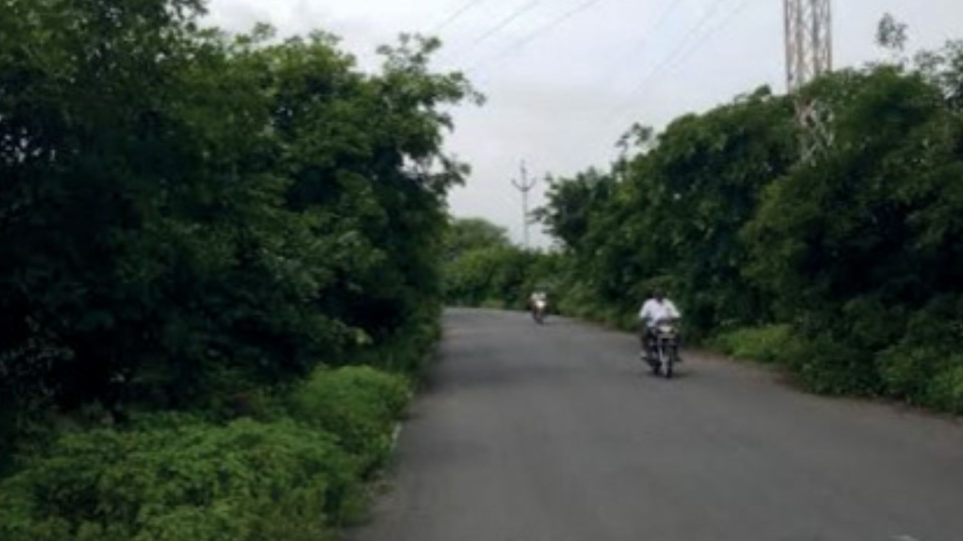 Trees on both sides of roads on Mote-Dharur bypass