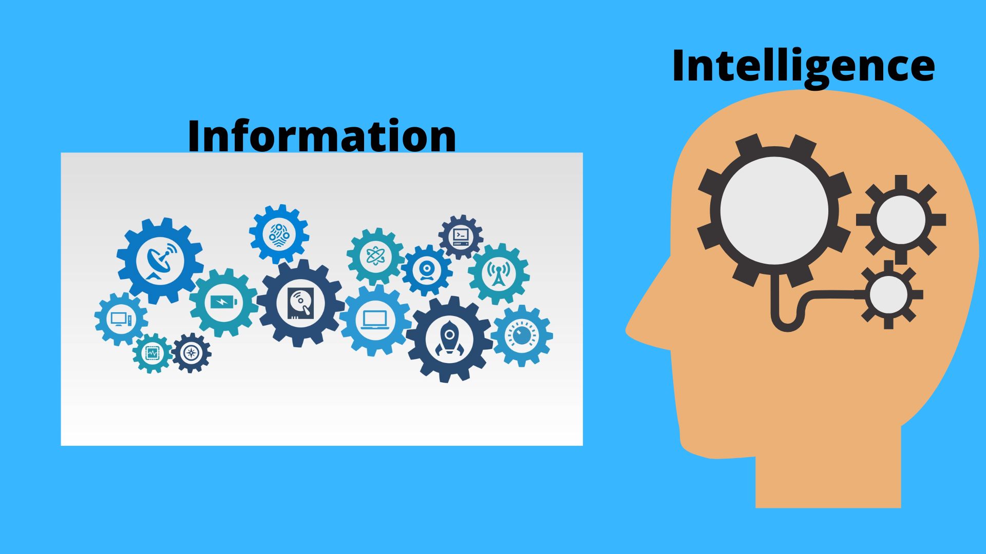 INFORMATION AND INTELLIGENCE