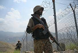 'PAK ARMY, TTP BEHIND TARGETED KILLINGS IN PASHTUN BELT'