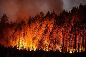 Adding fossil fuels to the forest fires in Europe