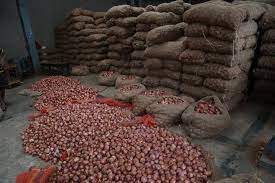 Punjab to set up a center of excellence for onion with Dutch assistance