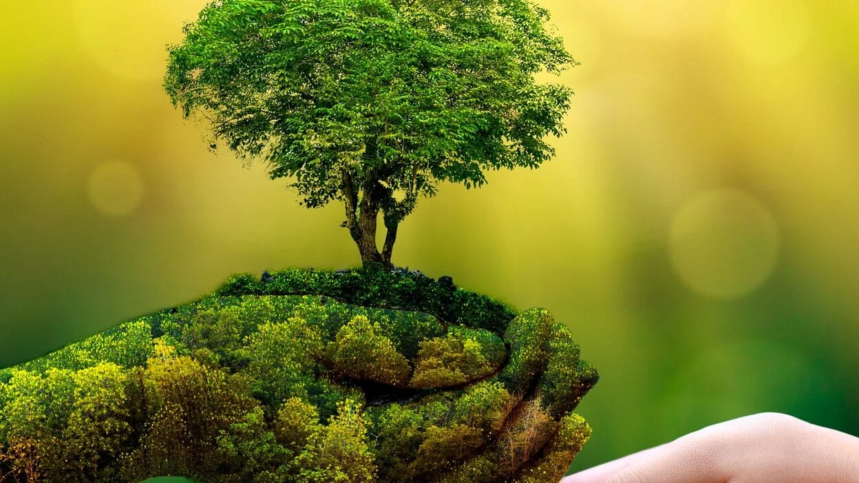 Nature Conservation: Our solutions are in nature
