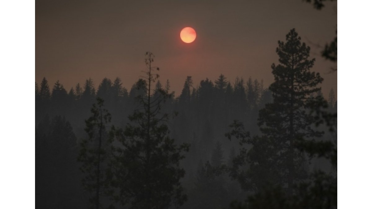 Majority of people in California say effects of climate change begin: Poll