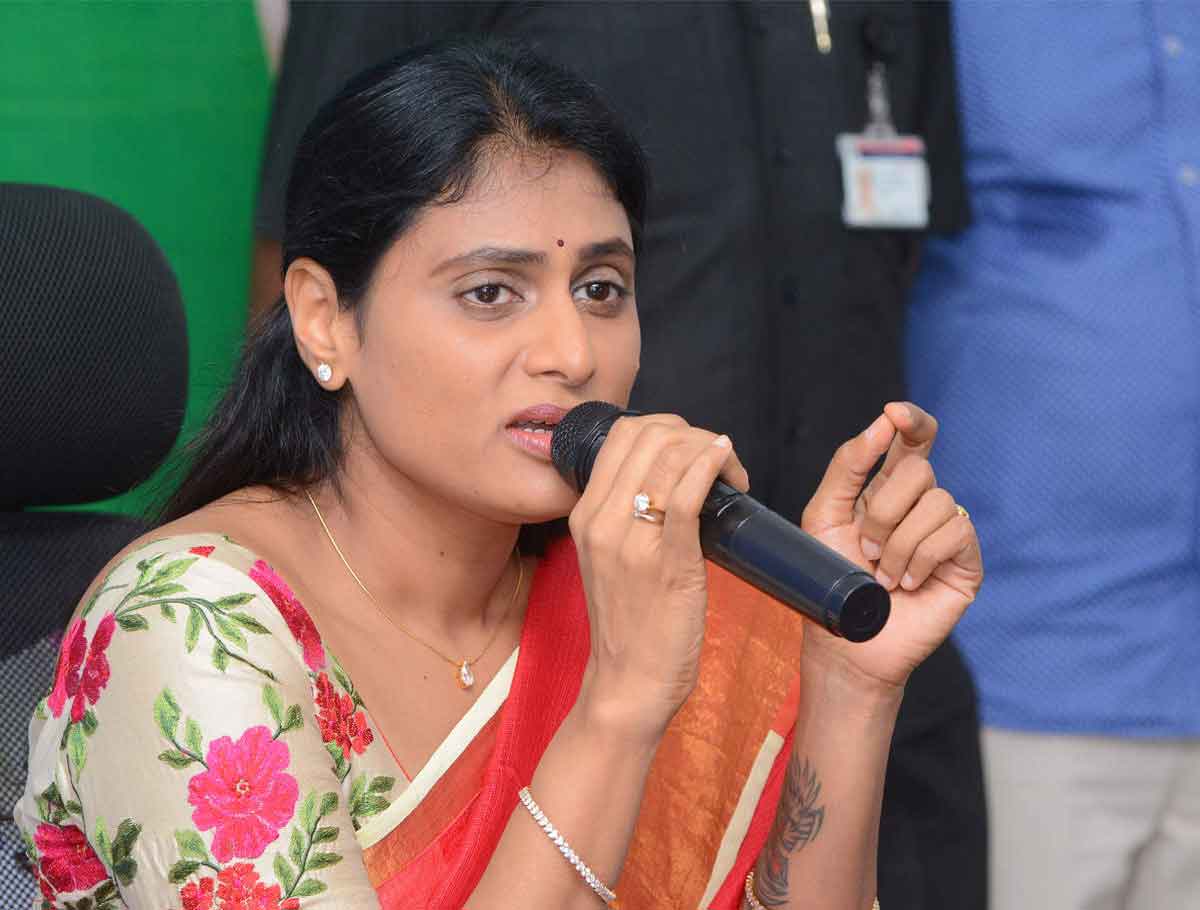 Sharmila will be Telangana CM one day: DS