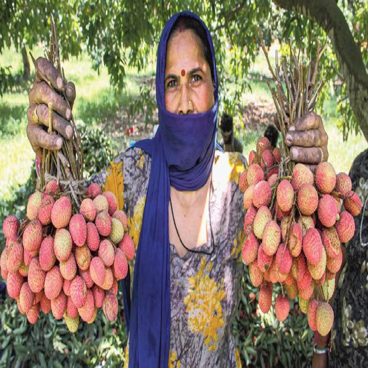 Coca-Cola India’s ‘Project Unnati’ has touched the lives of 3.5 Lakh+ farmers across 12 states in India