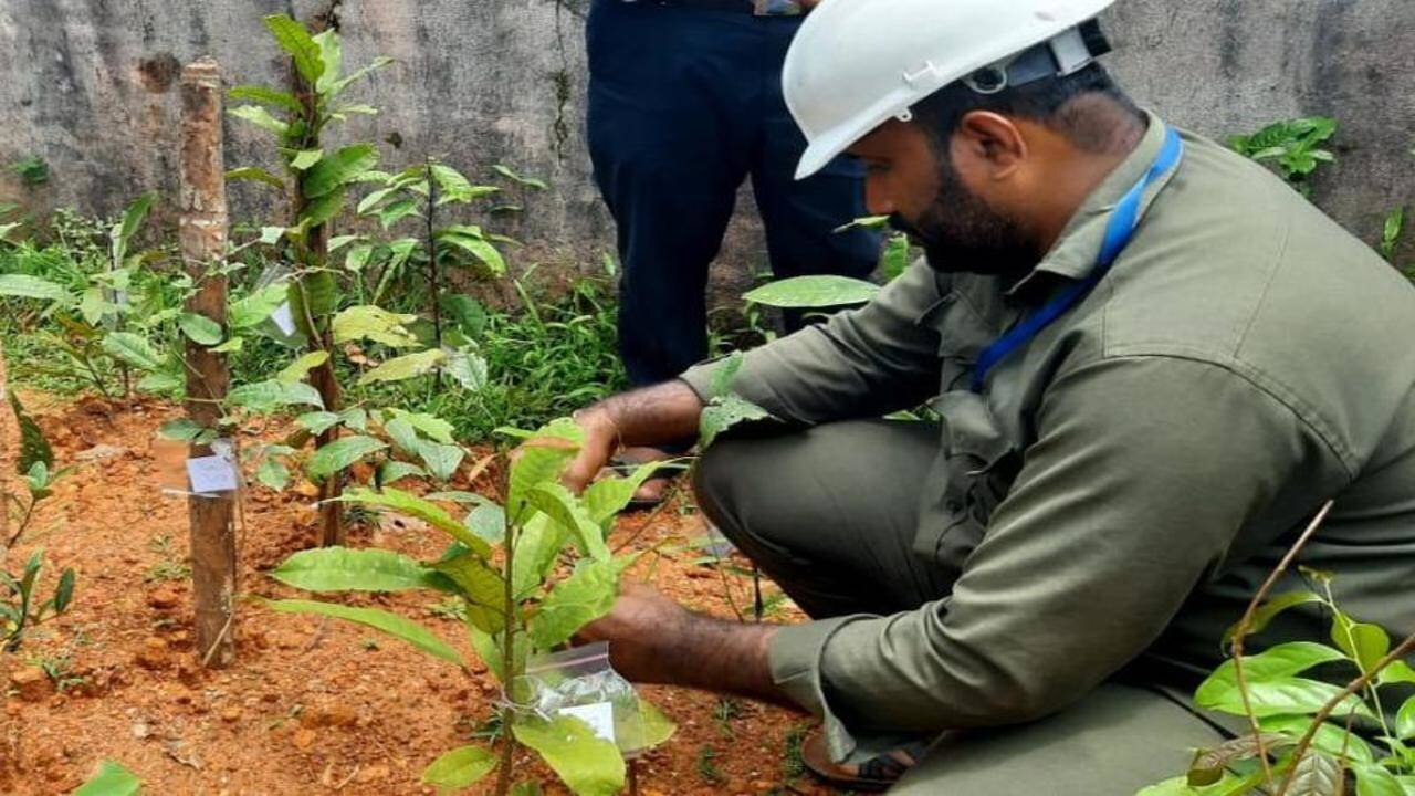 Geo-tagging should be done for every plant planted