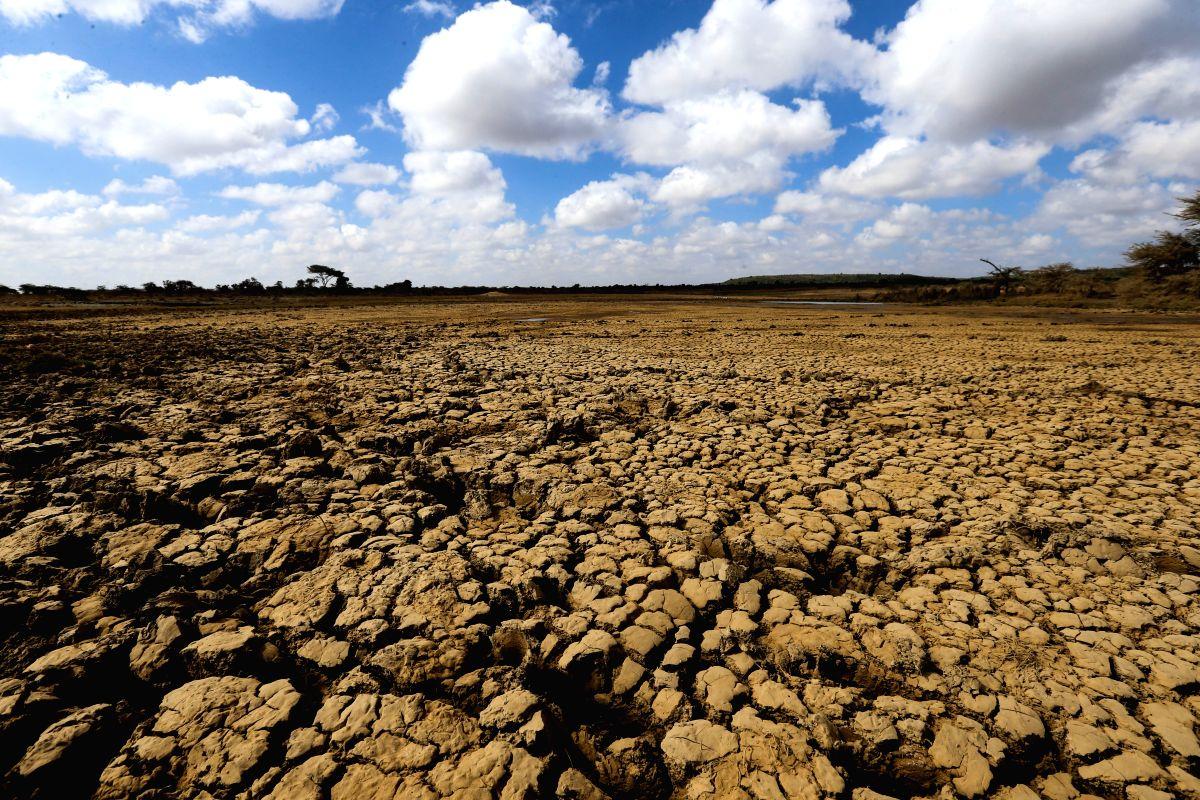 China renews orange alert for drought