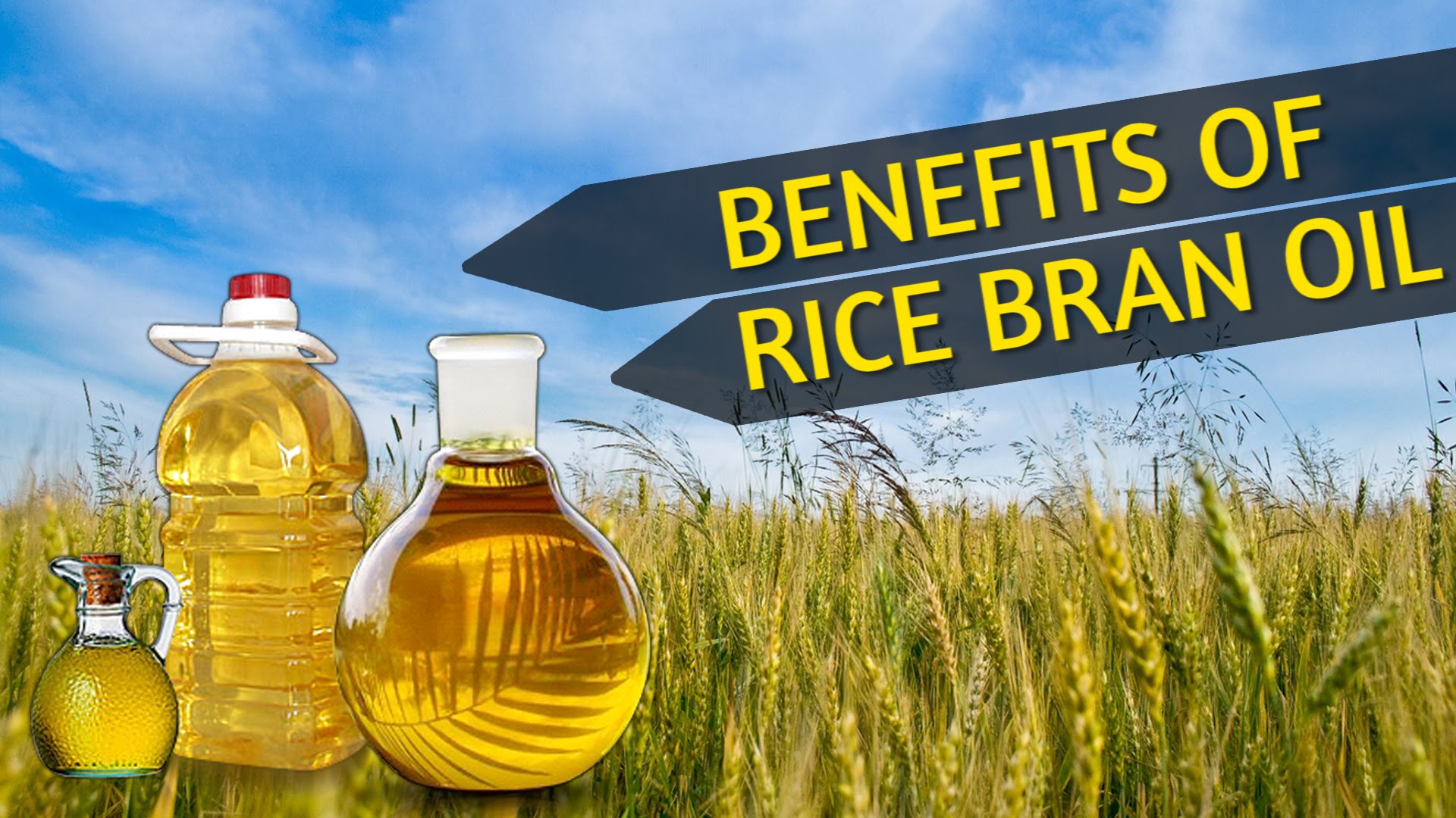 Rice Bran Oil with ‘O’ factor for good health