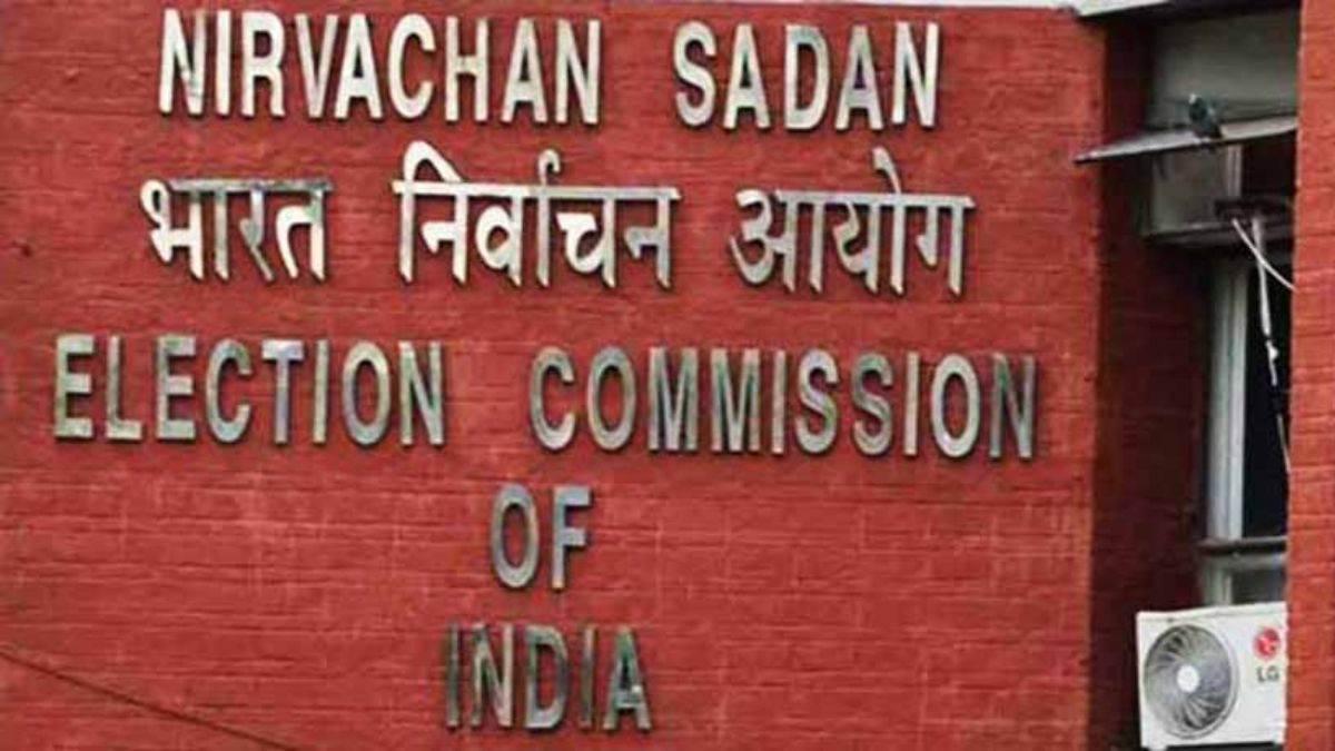 EC declares 253 registered unrecognised political parties as 'inactive'