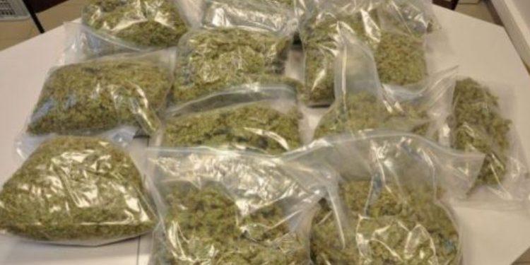 440 Kgs of Ganja seized : Two held