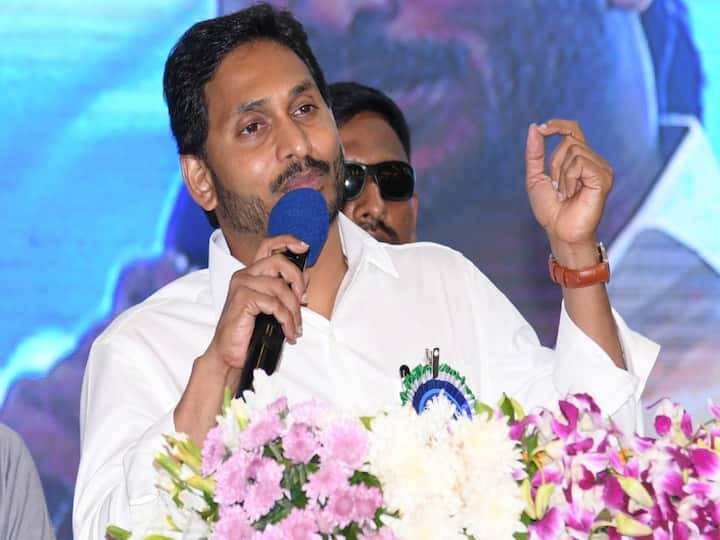 AP govt giving top priority to education sector: CM