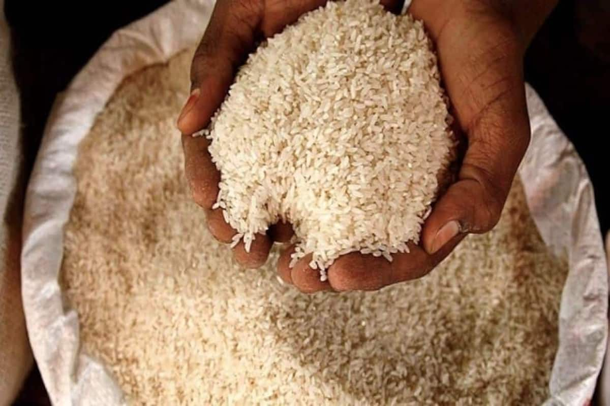 Government imposes 20% export duty on rice