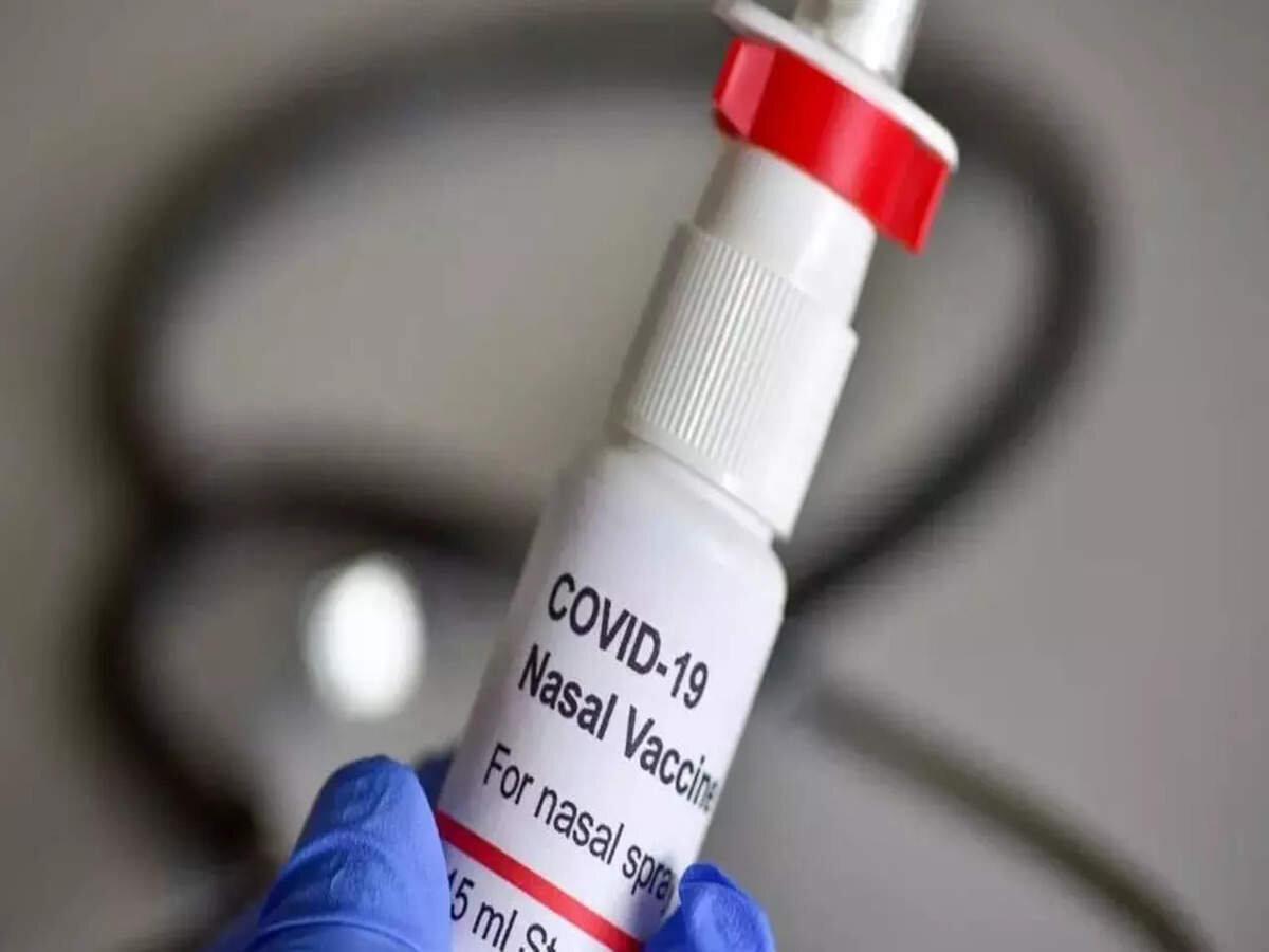 India's first intranasal vaccine for Covid gets DCGI approval