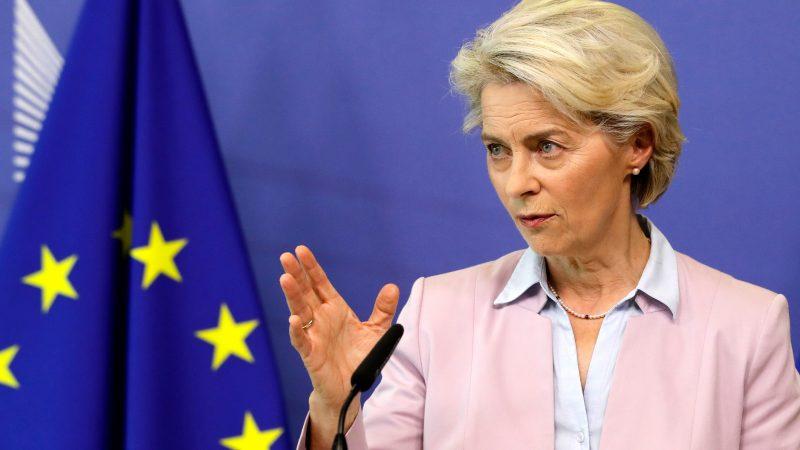 Coming months critical for EU’s future direction