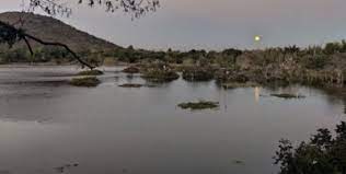 TN wetland mission sanctions Rs 1.5 cr for restoration of 16 acre Otteri lake