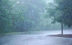 Rainfall occurred at isolated places over TN