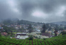 Tourists visiting the idyllic Ooty for a cool respite this summer were in for a surprise when the day temperature soared.