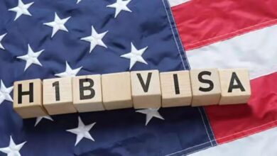 Texas Governor Orders Immediate Halt on H 1B Visa Applications