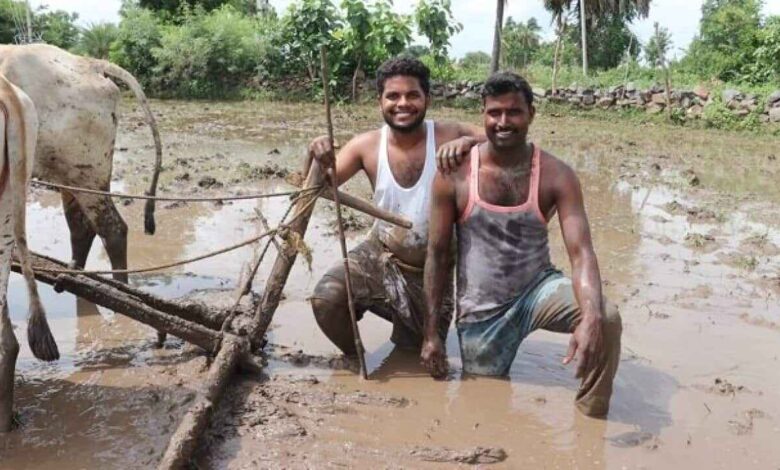 Andhra Pradesh Farmers Get Relief as Crop Prices Rise After Sankranti