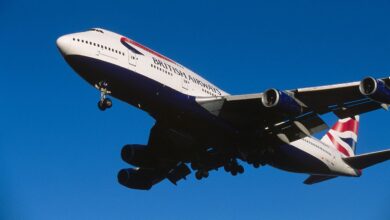 Centre weighs removal of domestic flight fare cap as operations stabilise