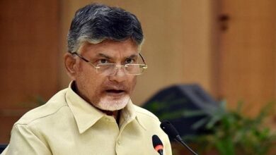 Chandrababu Naidu Sets Parliament Agenda for TDP MPs