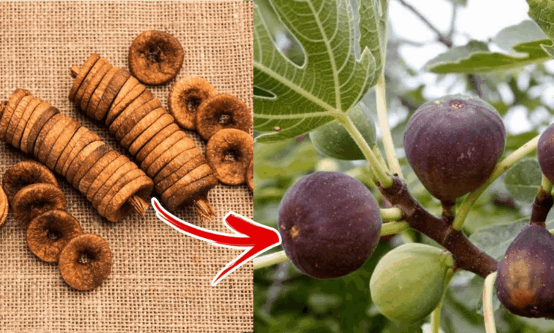 Figs Offer Nutrition but Carry Risks for Certain Health Conditions