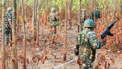 Encounter in Bijapur Leaves Two Maoists Dead
