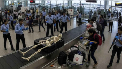 Skeleton Found in Passenger Luggage Triggers Brief Airport Alert