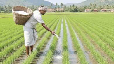 Centre Assures Fertiliser Supply for Telangana Farmers, Key Announcements in Parliament