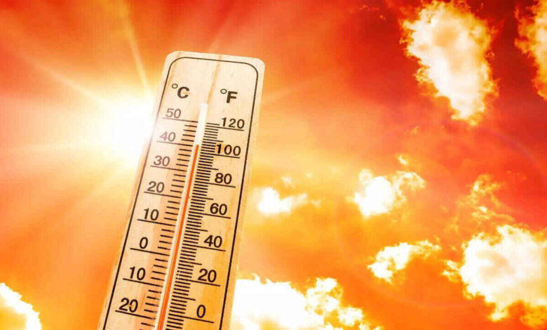 Bengaluru Records Temperatures Above 30 Degrees Celsius in February as Heat Sets In Early