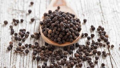 Black Pepper Benefits That Go Beyond Spice and Support Weight Loss Naturally