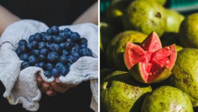 Blueberries vs Guava Which Fruit Really Delivers Better Nutrition