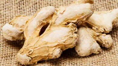 Dry Ginger Daily May Support Weight Loss and Ease Pain Naturally