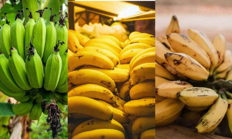 Eating Bananas During Cold and Cough Doctors Separate Myth From Medical Fact