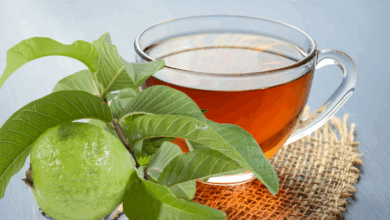 Guava Leaves Gaining Attention as Natural Remedy for Diabetes and Joint Pain