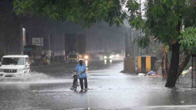 Rain Alert Issued for Telangana Districts as Heavy Showers Loom