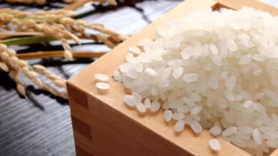 Japans Kinmemai Premium Rice Stuns World With Record Breaking Price Tag