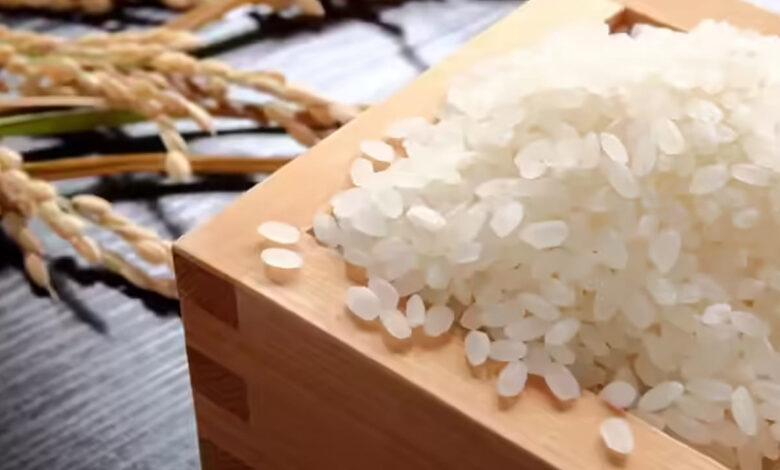 Japans Kinmemai Premium Rice Stuns World With Record Breaking Price Tag