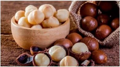 Macadamia Nuts The Royal Superfood That Supports Heart Brain and Youthful Skin