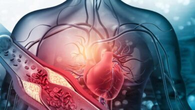 Mastering Cholesterol Control Small Lifestyle Changes for a Healthier Heart