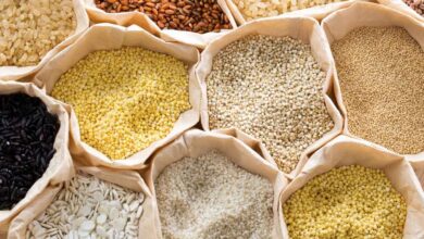 Millets Emerging as a Smart Dietary Choice for Diabetes and Overall Wellness
