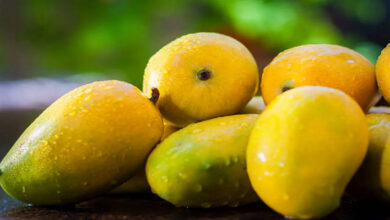 New Study Suggests Mango May Be Safe for People With Diabetes When Eaten in Moderation