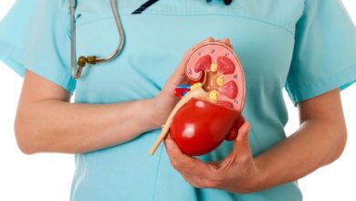 Persistent Body Swelling Could Signal Kidney Trouble Doctors Urge Timely Checkups
