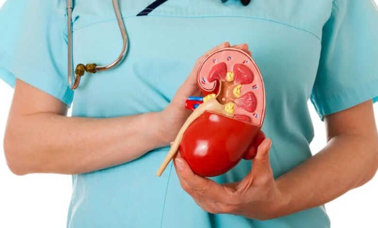 Persistent Body Swelling Could Signal Kidney Trouble Doctors Urge Timely Checkups