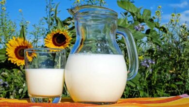 Raw Milk During Pregnancy May Raise Miscarriage Risk Doctors Urge Strict Food Safety