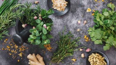 Simple Home Plants That May Cut Your Dependence on Medicine