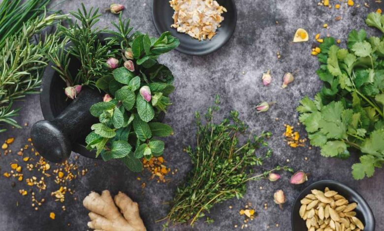 Simple Home Plants That May Cut Your Dependence on Medicine