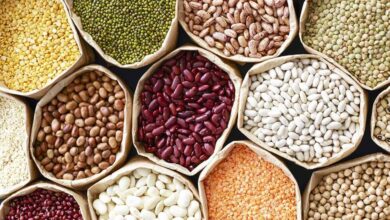 Simple Storage Tips to Keep Pulses Fresh and Insect Free for Months